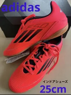 新品未使用25cm adidasアディダス　インドアシューズ