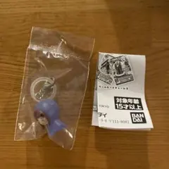 アイカツ！ めじるしアクセサリー 紫吹蘭　リーフレット付き