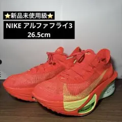 Item thumbnail for item 69ebf112-0896-4028-91a5-a750c47f1c29