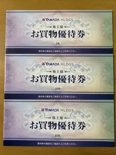 ヤマダ電機の株主優待割引券　12000円分