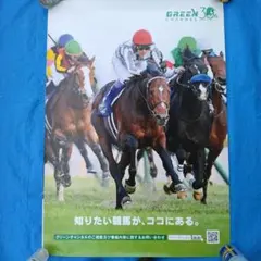 GREEN CHANNEL リバティアイランド B1ポスター - メルカリ