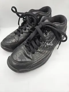 Item thumbnail for item a1321834-8edc-4b8a-8932-24faf3360ee7