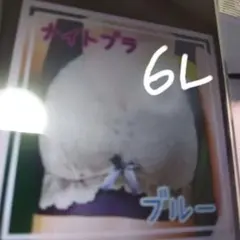 Item thumbnail for item d6117a6b-0950-4402-aa6c-f16e5afea918