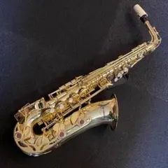 Item thumbnail for item 033361ca-de80-43ba-8884-5b44a32f4511