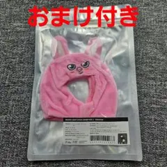 【未開封】 Straykids SKZOO ペンラカバー ver.2 トェッキ