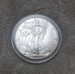 2026年最新】イーグル銀貨 1オンス 純銀コインの人気アイテム - メルカリ