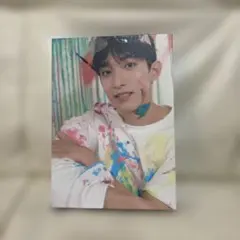 SEVENTEEN FACE THE SUN CARAT盤