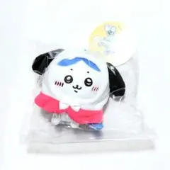ちいかわ × サンリオ ぷちミニフードマスコット ハチワレ ポチャッコ