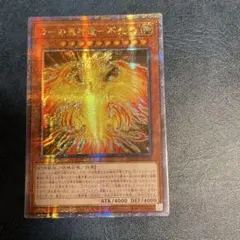 フェニックス様 リクエスト 3点 まとめ商品