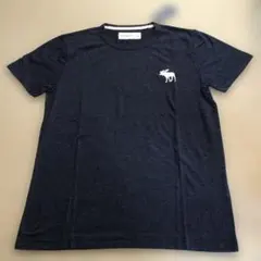 アバクロ Tシャツ