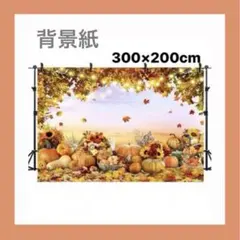 Item thumbnail for item 645a36b3-b4bc-4767-8303-6304248e483a