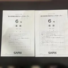 2026年最新】サピックスオープン 6年の人気アイテム - メルカリ