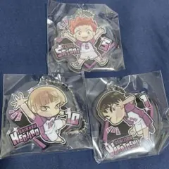 ハイキュー 白鳥沢セット ぴたでふぉめ 白布 天童 牛島