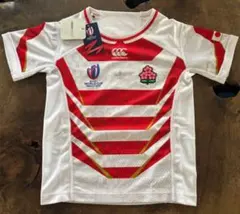 Item thumbnail for item 9b63dc6a-063f-4025-96b8-8027be254f25