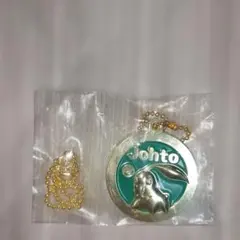이치방쿠지 포켓몬 チコリータ メダルチャーム
