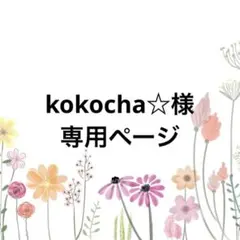 kokocha☆プロフお読み下さい☺︎様用確認ページ