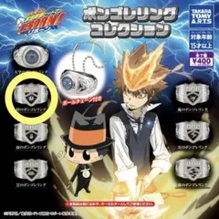 家庭教師ヒットマンREBORN! ボンゴレリングコレクション 晴