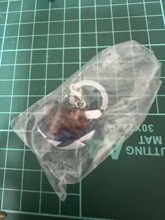 めじるしアクセサリー ポチタ チェンソーマン