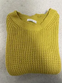 STYLEMIXER 春色半袖ニットのサムネイル