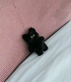 cosymosy コジモジ　カスタムキャット　黒猫　ブラック