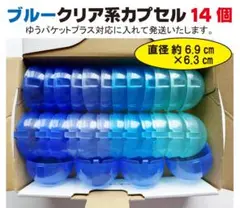 ブルークリア系 空カプセル 14個セット ガチャガチャ ガチャポン1