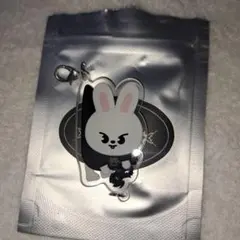 Stray Kids Leebit アクリルキーホルダーのサムネイル