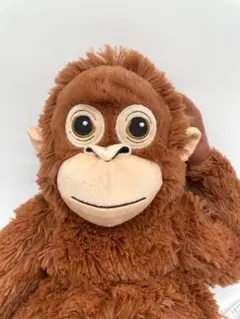 2026年最新】オラウータンの人気アイテム - メルカリ