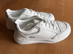 Item thumbnail for item 5a28bd4c-f8ab-4467-8262-6c691efa3140