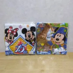 東京ディズニーリゾート ウォッシュタオル 2枚セット