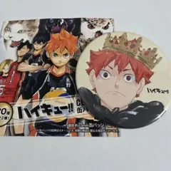 ハイキュー 白十字缶バッジ キズ処置シリーズコラボ 当選品　日向翔陽　影山飛雄 ハイキュー 白十字缶バッジ キズ処置シリーズコラボ 当選品 日向翔陽