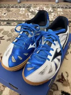 Item thumbnail for item e172ae67-08a6-42cd-a765-53c2b0ceff41