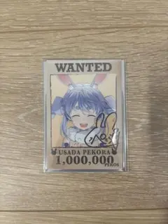 兎田ぺこら　直筆サイン　誕生日記念2025 数量限定　ホロライブ