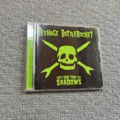 Teenage Bottlerocket アルバム　パンク