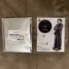 ハリーポッター トム・リドル アクスタ