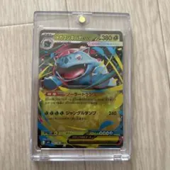 2026年最新】メガフシギバナの人気アイテム - メルカリ