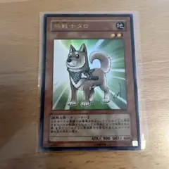 【ARS10+】高橋和希氏描き下ろし/サイン 柴戦士タロ ウルトラ ARS10+】高橋和希氏描き下ろし/サイン 柴戦士タロ ウルトラ