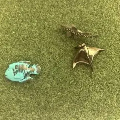 シーラカンス　エイ ナポレオンフイッシュ フィギュア 海の生き物 まとめ売り