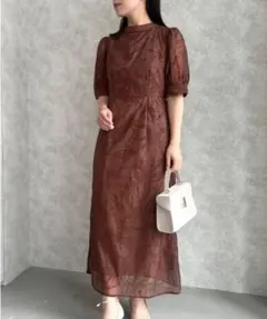 新品✨ Dorry Doll 定価1.8万 フロッキーデザインIラインドレスのサムネイル
