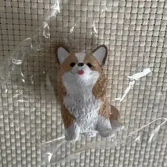 専用
