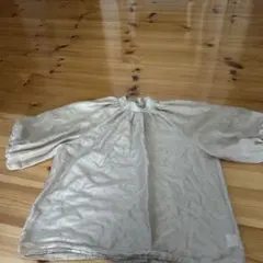 Item thumbnail for item 598c7937-3d05-4433-ac0e-42a66cac16ea