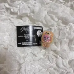 straykids スキズはSKZOO つまんでつなげて トゥエッキ