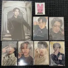 StrayKids スキズ FORCE TOYWORLD チャンビン セット