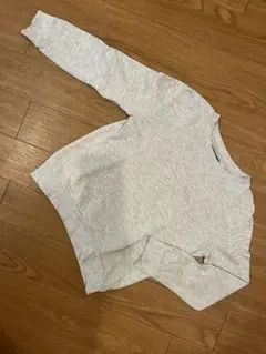 Item thumbnail for item 88fed761-b42b-4105-81b4-e4c690ff59fe