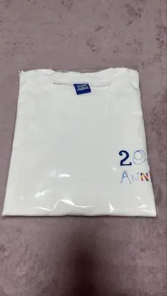 SUPERJUNIOR SUPERSHOW10 T恤 M 尺寸