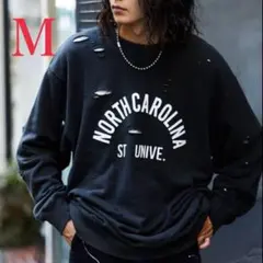 Item thumbnail for item b9008be3-df9c-4402-8c84-c31ba99539b9