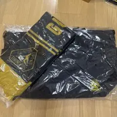 群馬クレインサンダーズグッズ　トートバッグ&マフラー