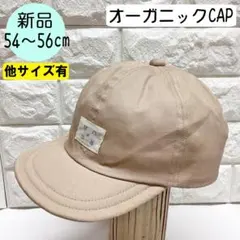 Item thumbnail for item 9e08f7d1-8c73-4769-b422-5dc0a5ddb1e1