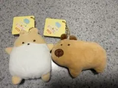 つぶらな瞳の動物園 キーホルダー 2個セット