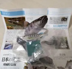 日本の清流 増補特装版 ヤマメ ネイチャーテクニカラーのサムネイル