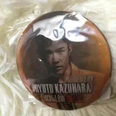 HiGH&LOW ガチャ 数原龍友 缶バッチ